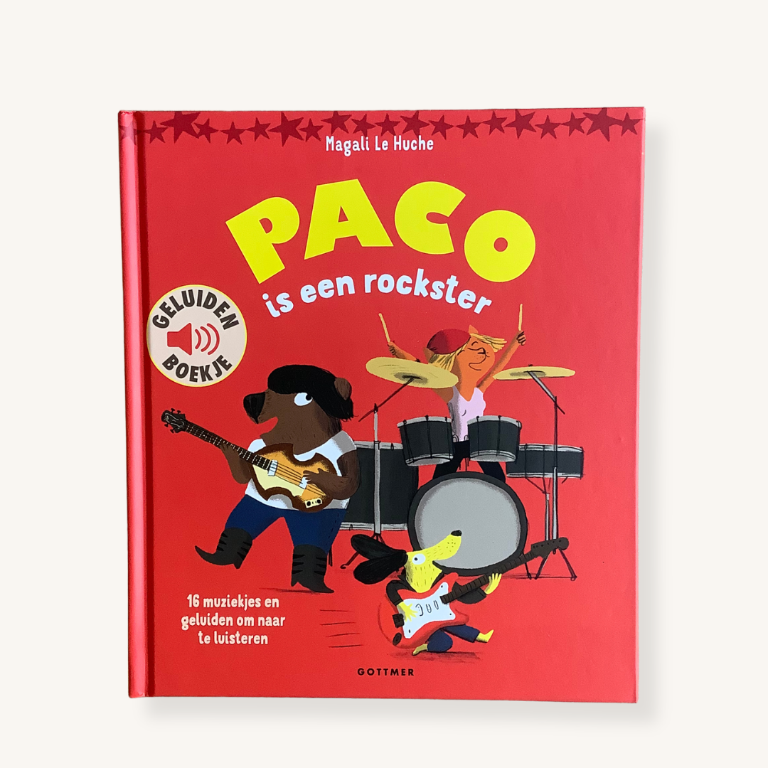 Paco is een rockster