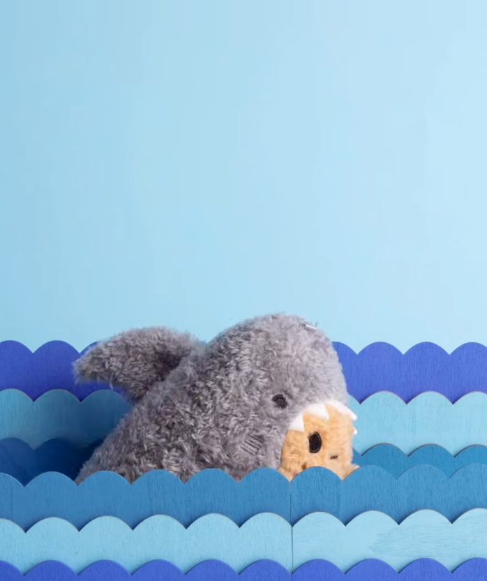 Haaipatatje 🦈